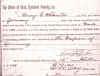 HCS.jpg (298759 bytes)