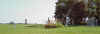MtP2.jpg (34585 bytes)