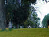 Sackman2.jpg (95361 bytes)