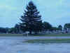 ShenandoahRight.jpg (53271 bytes)